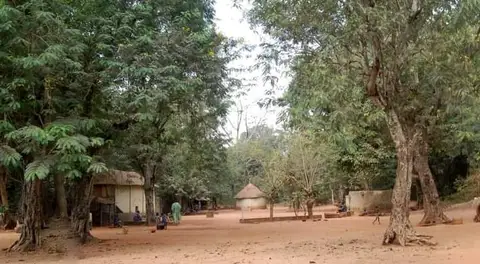 Forêt sacrée òokpo de pobè